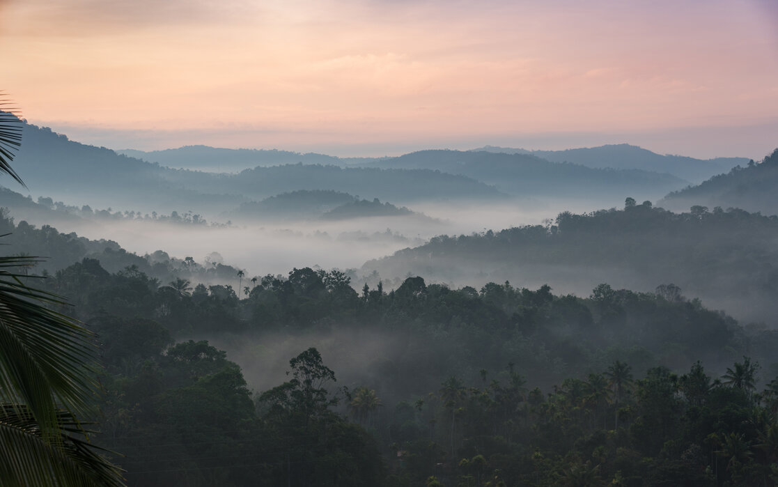 Misty hills Wayanad
