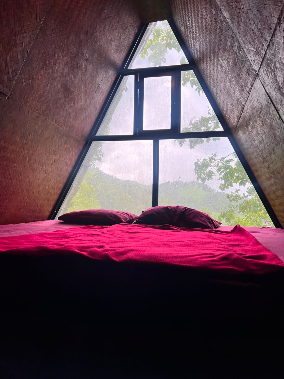 Standard Forest Room - Golden Hill View Resort