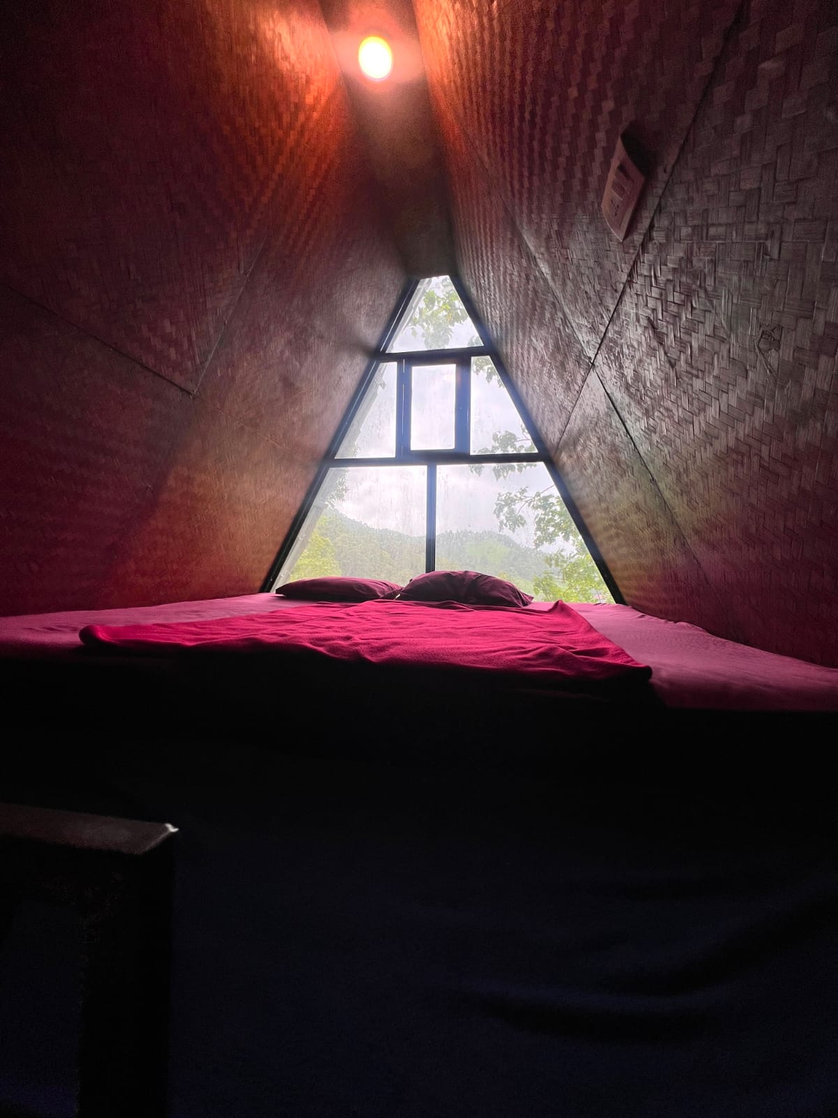 Forest View Room